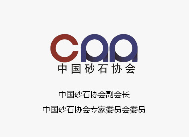 中国砂石协会副会长