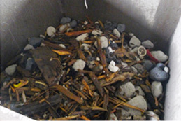 水浮选出的轻物质