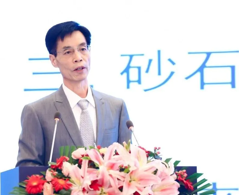 主旨报告 | 唐军以国际化视角，提出固废综合利用和生态环境修复新思路